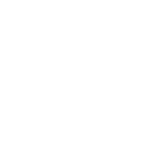 Dedicated Jetty & Fast Ferry Service